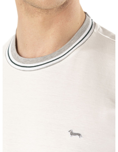 T-shirt Uomo Harmont E Blain