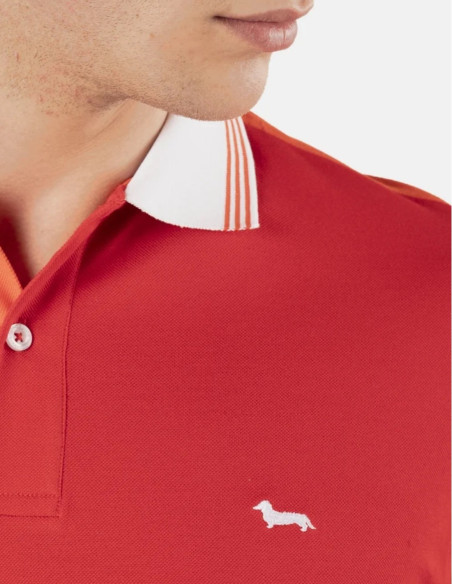 Polo uomo Block Color Harmont & Blaine